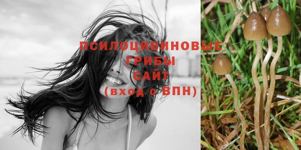 эйфоретик Алексеевка