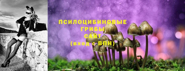 скорость Алзамай