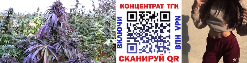 ТГК гашишное масло  Ленинск 