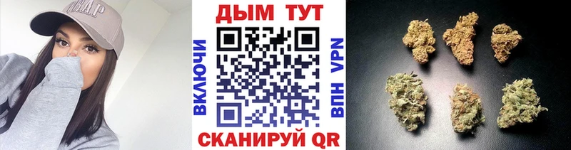 Каннабис ГИДРОПОН  hydra ТОР  Ленинск  купить закладку 